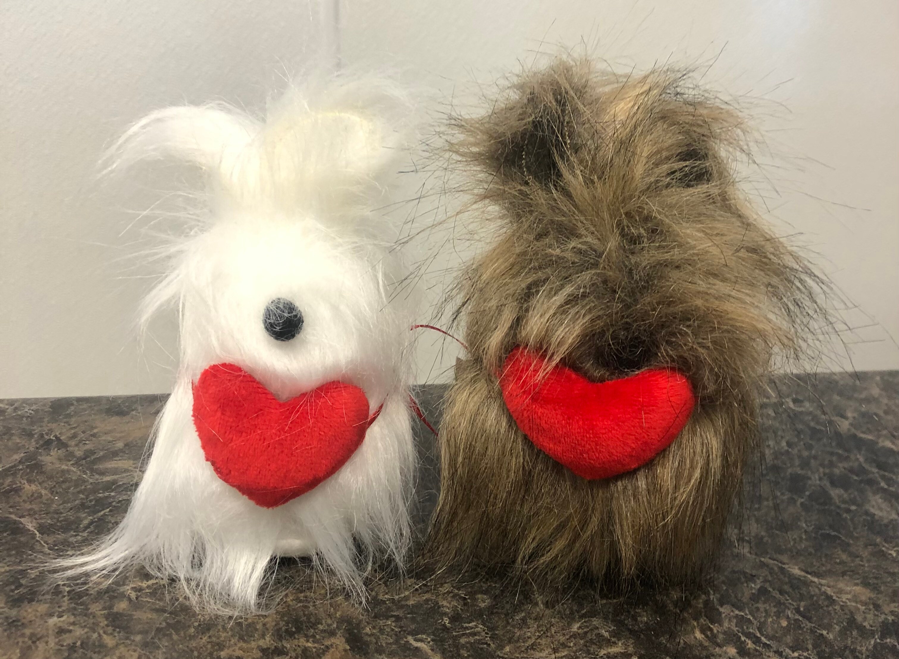 Gnome Dog with Red Heart